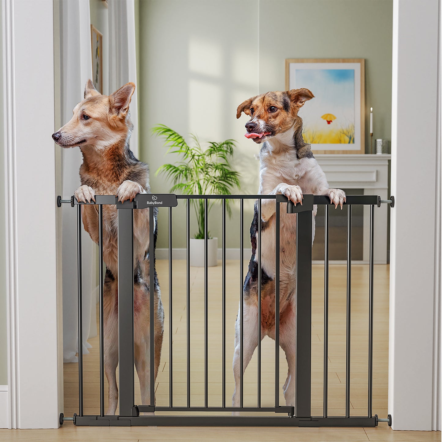 27-43" Baby Gate for Stairs, Dog Gate for Doorways, Pressure Mounted Self Closing Pet Gates for Dogs Indoor, Durable Safety Child Gate with Easy Walk Thru Door